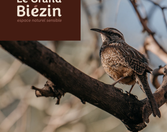 Espace Naturel Sensible Le Grand Biézin