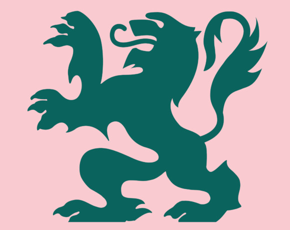 Ville de Lyon – Campagne